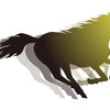 【追い切り注目馬】【ターコイズS】【ひいらぎ賞】他　2024/12/14(土) 中山競馬　マイルで反撃の時