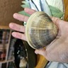 美味しい
