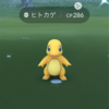 【ポケモンGO】コミュニティデイ報告【2020年10月ヒトカゲ】おや…