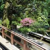 ２０２２／０５／０４　小石川植物園　と　その周辺