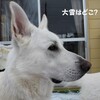 期待はずれ