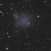 IC1613