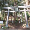 神奈川県足柄上郡大井町篠窪　　　三嶋神社「篠窪の椎の木と森のシイ」