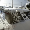 雪国奮戦