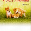 ハイジの号泣〜マリと子犬の物語