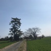 日枝神社＠前橋市公田町