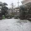 思い出したような雪