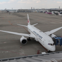 JL3084  名古屋→成田 JAL 787-8 エコノミークラス搭乗記　2025/2/26