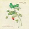 【新居昭乃】Botanical Note【CD】