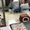 きょうは事務所内清掃中