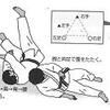 読者・視聴者の「質」と「数」の役割の機能的類型