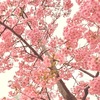 14年前の3月11日、東京での出来事とその後の生活を思い出す。