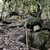 猿投山の花崗岩