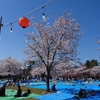 仙台市 西公園 お花見日和