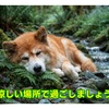呼吸と肩甲骨周りを意識して反復に頑張る週末の自主トレ