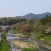 新緑の陵南公園 2015.4.18