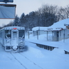 2/21　吹雪の富良野線・根室本線駅めぐり（美馬牛・美瑛・富良野・上富良野・幾寅・新得・幕別・札内・新富士）