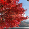 三河湖⭐︎紅葉🍁2021