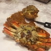 ちくわさん、ついにHoly Crabで甲殻類と格闘