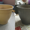 【DIY植木鉢の塗装】バジルとキャットミントの植え替え