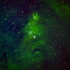 NGC2264