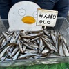 1/25(土)ボートワカサギ釣り100匹超え出た‼️