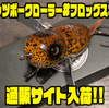 【サバスフィッシング】ショップオリカラのハネモノ「ワッツポークローラー#フロッグスキン」通販サイト入荷！