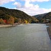 京都宇治公園「塔の島と橘島」を散策して「鵜」に会う