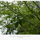 OLYMPUS OM-SYSTEM ZUIKO AUTO-W 35mm F2.8とNikon Ai Nikkor 35mm F2.8S