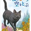 くろねこのロク空をとぶ