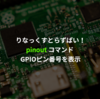 pinout - Raspberry Piのピンの情報などを表示する