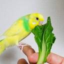 らいむ農園
