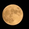 ８月の満月「スタージェンムーン」＋「α」を見たよ！