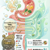 腸内ガス（おなら）のにおいの原因：医学的メカニズムと対策