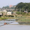 田園風景と特急電車をいれて