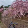 午後🌥️サイクリング🚴‍♂️