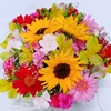 初回500円オフ！お花の定期便 by アンドプランツ 花束 サービスで配送も品質も安心、ギフトに最適