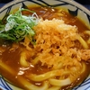 【DayDay】カレーうどんのレシピ！平野レミ・和田明日香【1月20日】