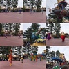 TDL#38 イッツ･ベリー･ミニー抽選はずれ