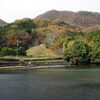 二上山麓の大池から九品寺へ