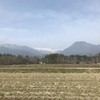 2021/03/30 火曜日　雨引山