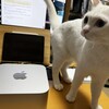 Mac Studioが届いた！開封レビュー