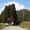 兵庫県道291号 奥野々氷上線