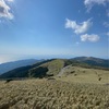 HIKE LOG『伊豆山稜線歩道/天城峠〜戸田峠』気持ちの良いトレイルを紹介！