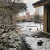 郡山　風雪　ディズニー新幹線