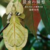 【書評】カモフラージュ率100%『自然のだまし絵 昆虫の擬態』