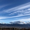 秋の子供連れおススメ観光スポット【山梨編・笛吹川フルーツ公園】