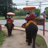 そういえば象にのったなぁ（タイ旅行を振り返る・その１０）