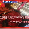 ホーチミン 家族で夏休み 最終日は☂模様。夜も明けぬ 早朝...空港へ SGN⇒ANA834便⇒NRT へ帰国。後泊は HND 第3タミ直結の ヴィラフォンテーヌで〆
