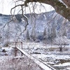 京都・京北 - 魚ヶ渕吊り橋の雪景色